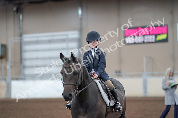 2019 Morgan Horse Show - Aug 31, 2019 - 19711