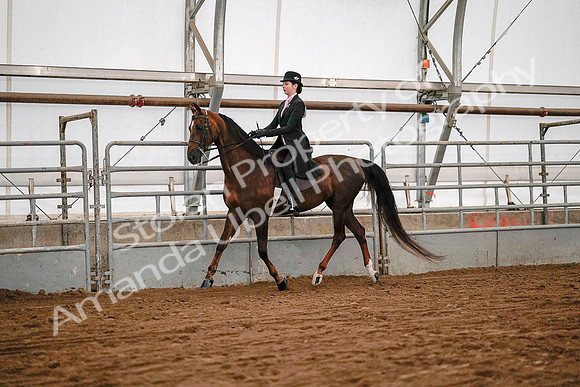 July 19, 2019 - 8652