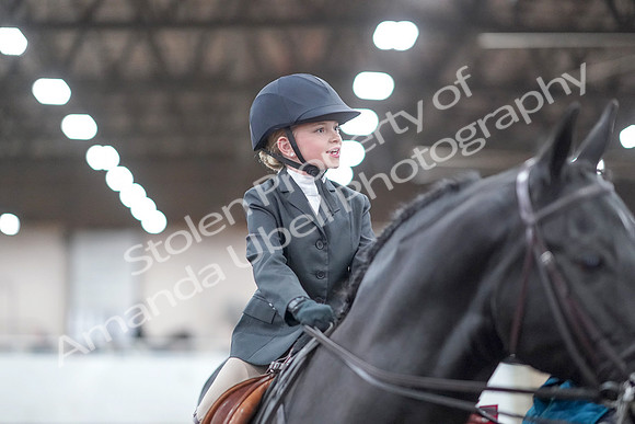 2019 Morgan Horse Show - Aug 31, 2019 - 19755