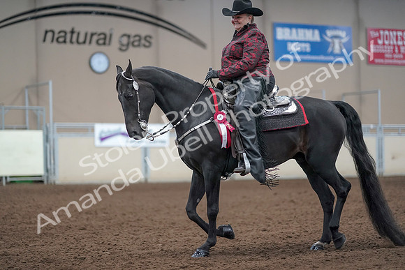 2019 Morgan Horse Show - Aug 31, 2019 - 10814