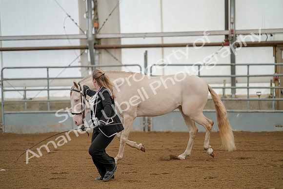 July 19, 2019 - 353