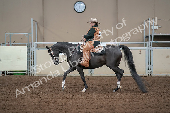 2019 Morgan Horse Show - Aug 31, 2019 - 06075