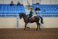 2020 - AB Morgan Horse - Fri, Sept 04 - 03951