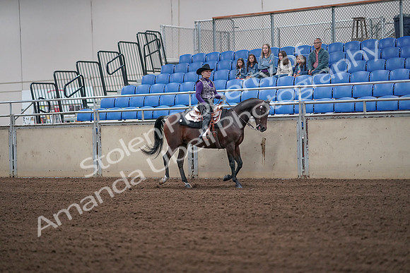 2019 Morgan Horse Show - Aug 31, 2019 - 10770