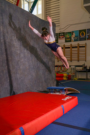 Airdrie Edge Gymnastics Club 2018 Sat Feb 24 - 0114