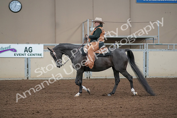 2019 Morgan Horse Show - Aug 31, 2019 - 06067