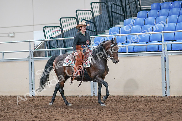 2020 - AB Morgan Horse - Sun, Sept 06 - 01647