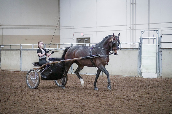 Spring Fling - Saturday - April 20, 2019  -  00296