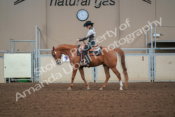 2019 Morgan Horse Show - Aug 30, 2019 - 16791