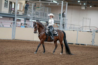 2020 - AB Morgan Horse - Fri, Sept 04 - 08236
