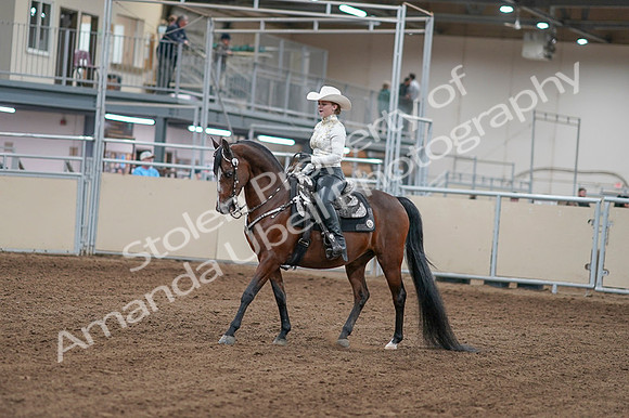 2020 - AB Morgan Horse - Fri, Sept 04 - 08236
