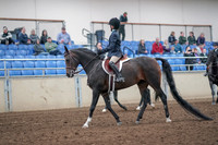 Class 123 - All Breed Walk Trot Hunter Pl 11 & Under