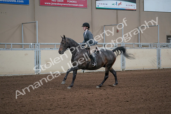2019 Morgan Horse Show - Sept 01, 2019 - 10976