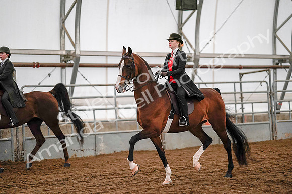 July 19, 2019 - 8800