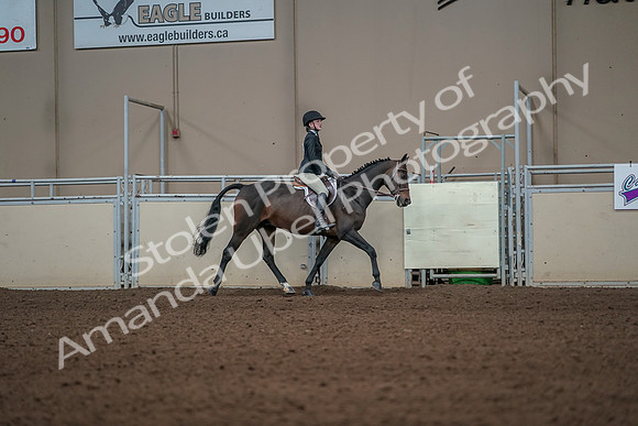 2019 Morgan Horse Show - Aug 31, 2019 - 05156
