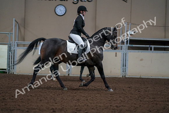 2019 Morgan Horse Show - Aug 30, 2019 - 18489