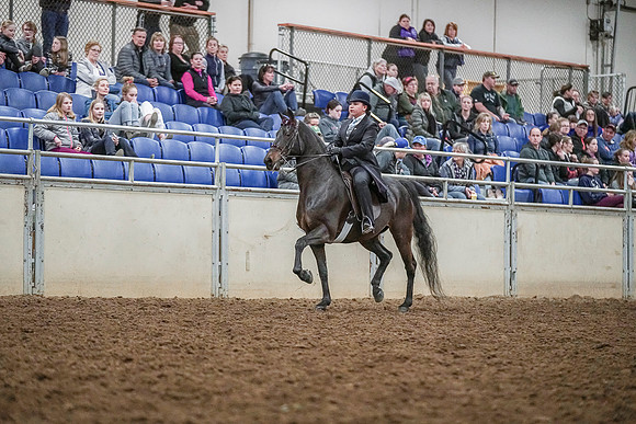 Spring Fling - Saturday - April 20, 2019  -  04289