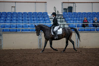 2019 Morgan Horse Show - Aug 31, 2019 - 16502