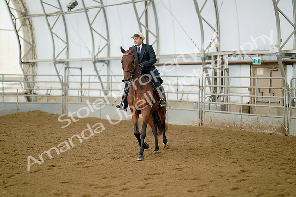 July 21, 2019 - 01958