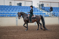 2019 Morgan Horse Show - Sept 01, 2019 - 11196