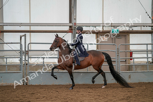 July 20, 2019 - 03623