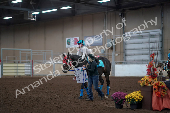 2019 Morgan Horse Show - Aug 31, 2019 - 10084