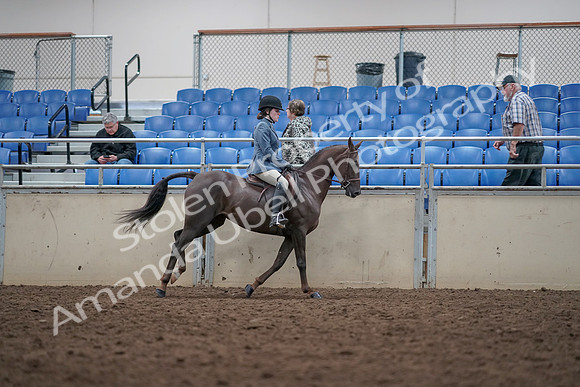 2019 Morgan Horse Show - Aug 31, 2019 - 16770
