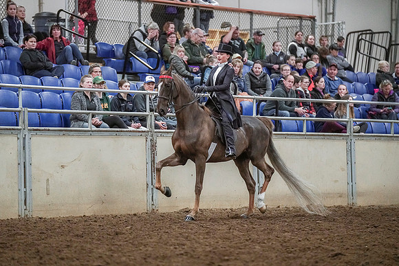 Spring Fling - Saturday - April 20, 2019  -  04352