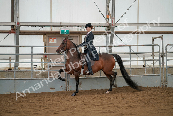 July 20, 2019 - 04272