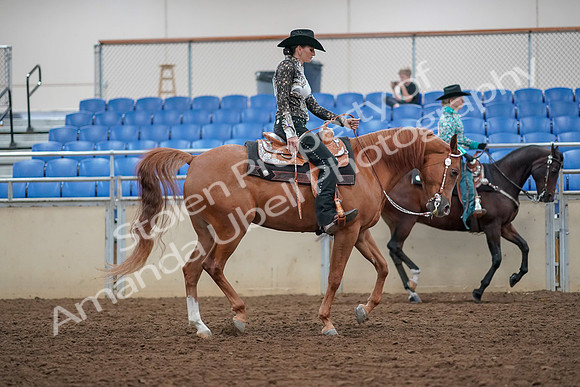 2019 Morgan Horse Show - Aug 30, 2019 - 16978