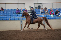 2019 Morgan Horse Show - Aug 30, 2019 - 26776