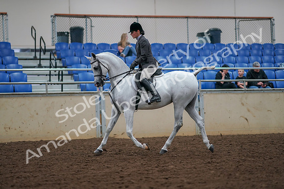 2019 Morgan Horse Show - Aug 30, 2019 - 17278