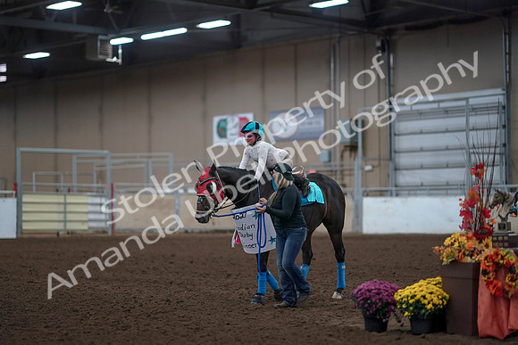 2019 Morgan Horse Show - Aug 31, 2019 - 10086