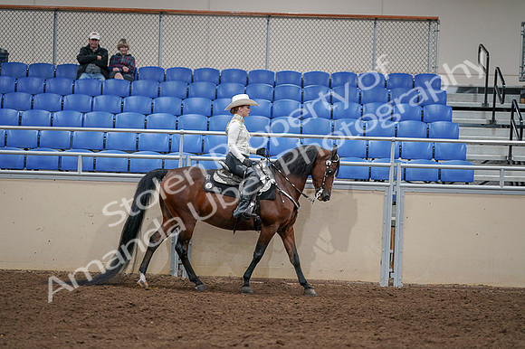 2020 - AB Morgan Horse - Fri, Sept 04 - 08450