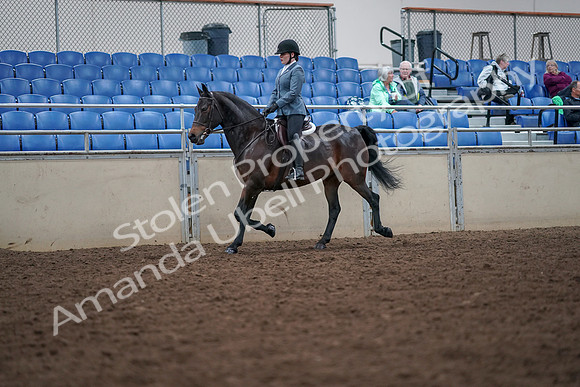 2019 Morgan Horse Show - Aug 30, 2019 - 18310