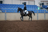 2019 Morgan Horse Show - Aug 30, 2019 - 18293