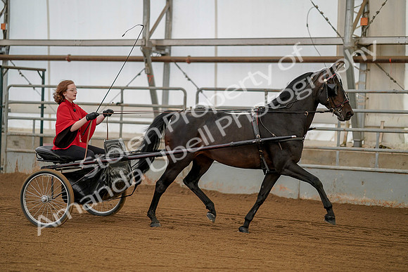 July 20, 2019 - 00239