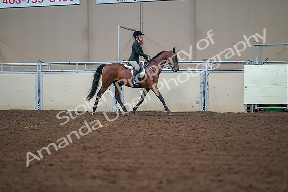 2019 Morgan Horse Show - Aug 30, 2019 - 20849