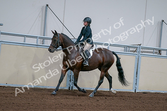 2020 - AB Morgan Horse - Fri, Sept 04 - 01658