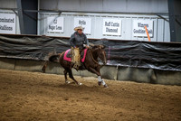 Rein Fence/Box - Rein Box