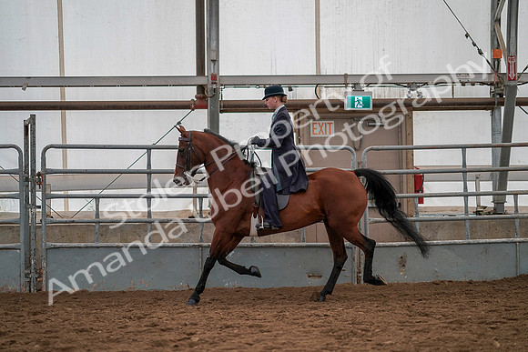 July 19, 2019 - 13002