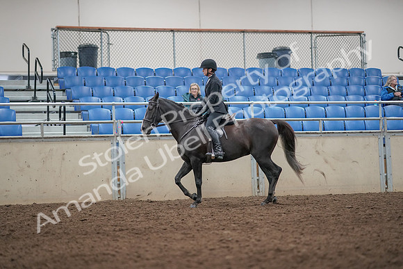 2019 Morgan Horse Show - Aug 31, 2019 - 07177