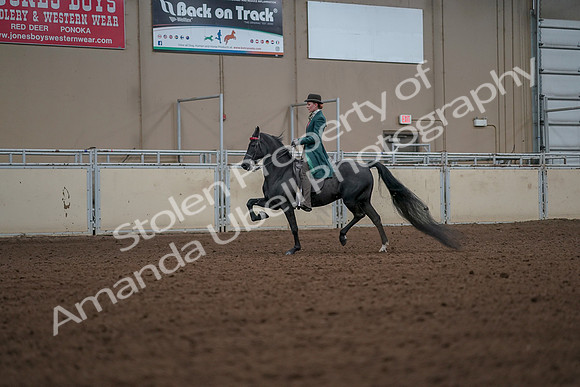 2019 Morgan Horse Show - Aug 30, 2019 - 15430
