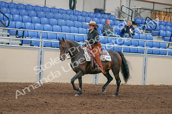 2020 - AB Morgan Horse - Sun, Sept 06 - 01595
