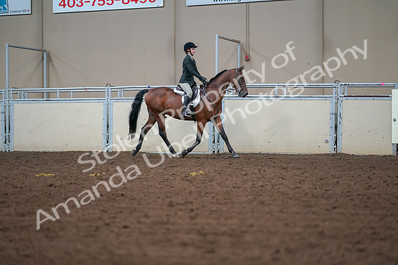 2019 Morgan Horse Show - Aug 30, 2019 - 20843