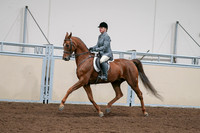 2020 - AB Morgan Horse - Sat, Sept 05 - 03035