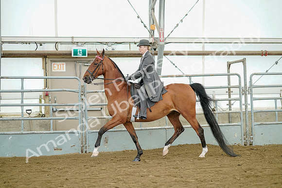 July 20, 2019 - 07709