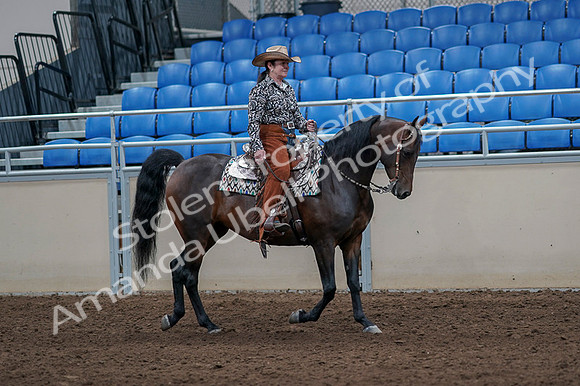 2020 - AB Morgan Horse - Fri, Sept 04 - 00102