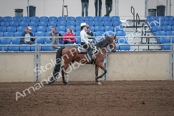 2019 Morgan Horse Show - Sept 01, 2019 - 07149