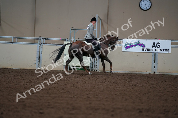 2019 Morgan Horse Show - Aug 30, 2019 - 18567